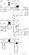Floorplan tooleys brook end (002).jpg