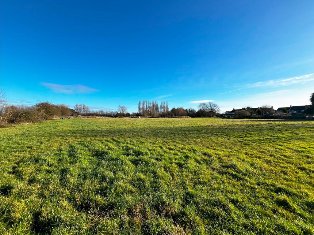 Grass Land