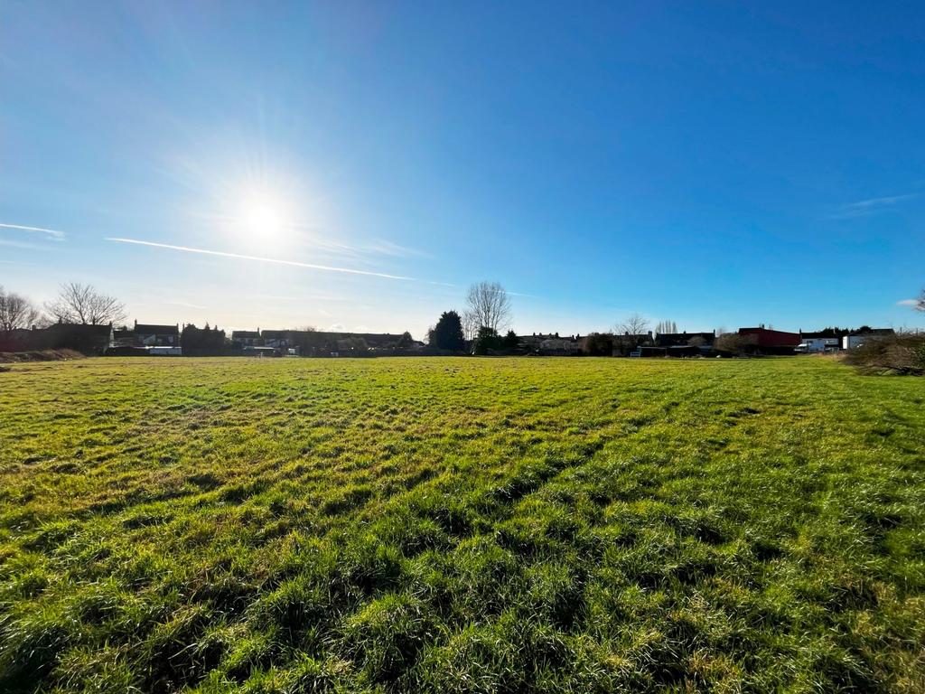 Grass Land