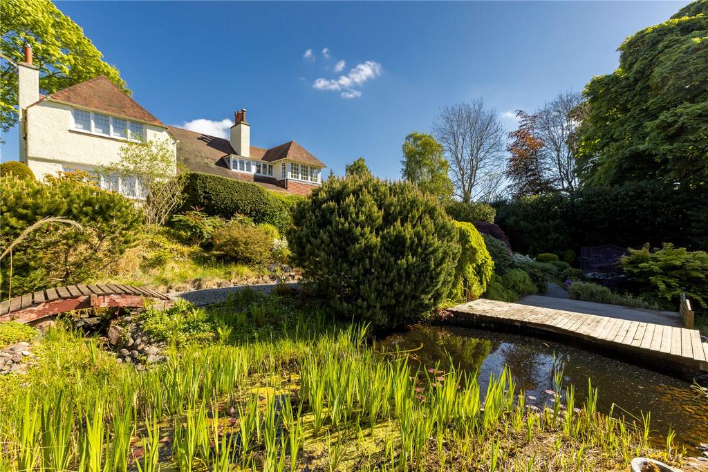 Pond