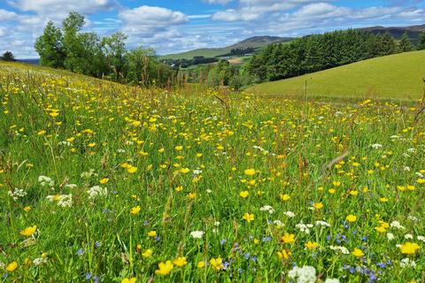 Leisure facility for sale, Glenshee Glamping, Blacklunans, PH10