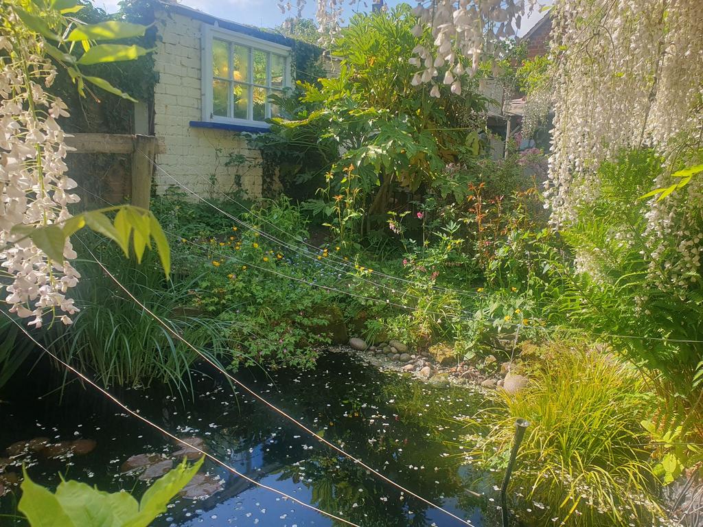 Pond