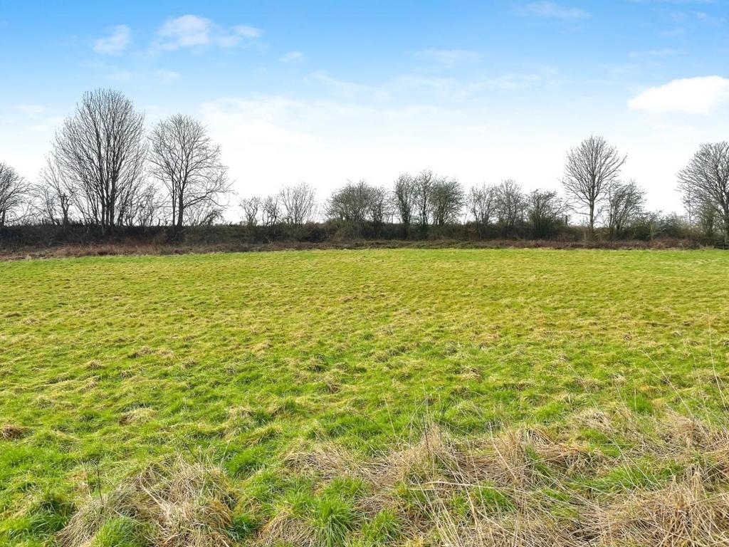 Field views