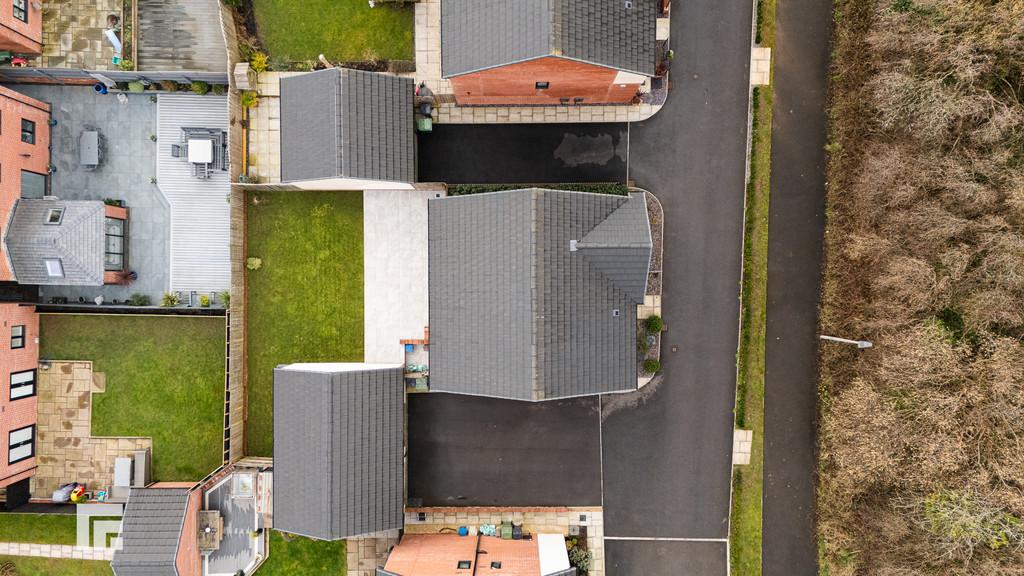 Dji 20250210153446 0011 d