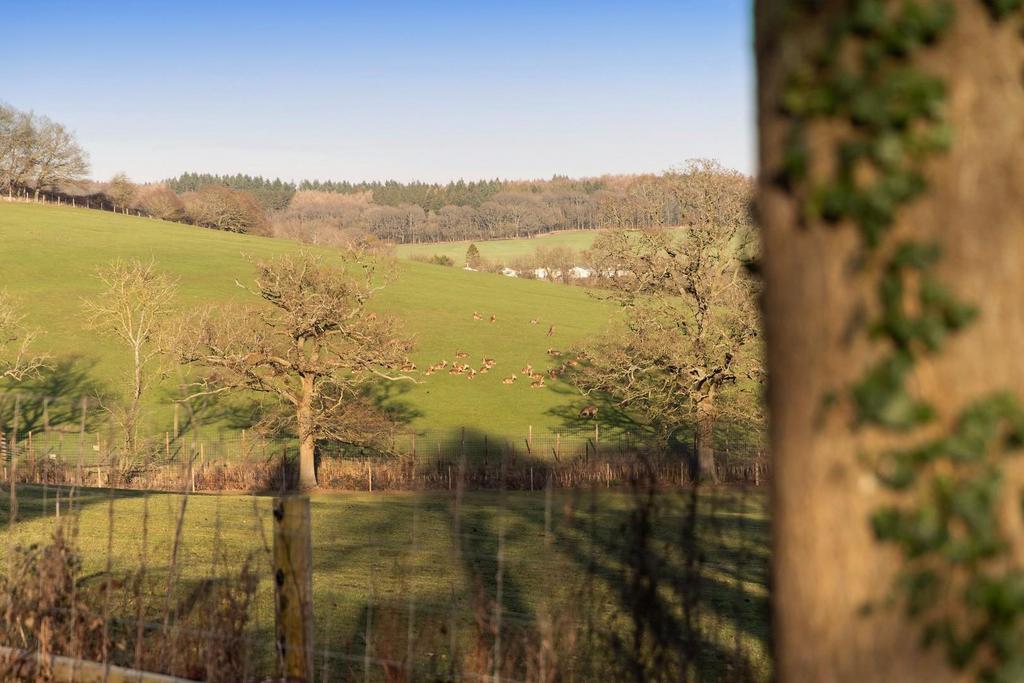 DEER PARK VIEW.jpg