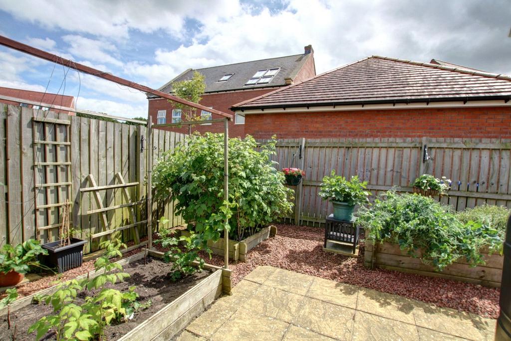 Vegetable Patch