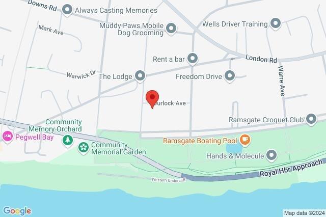 Google Maps Image
