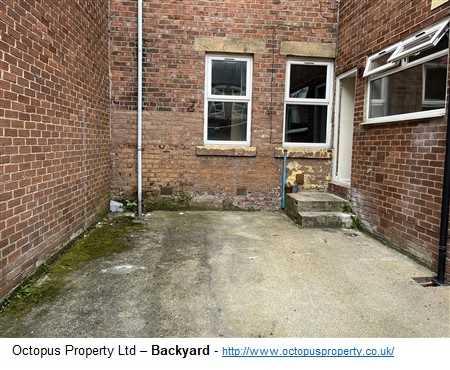 Picture 19
