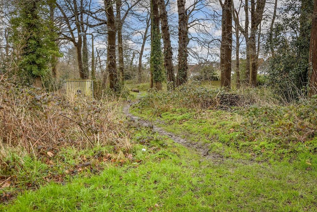 Surrounding Area