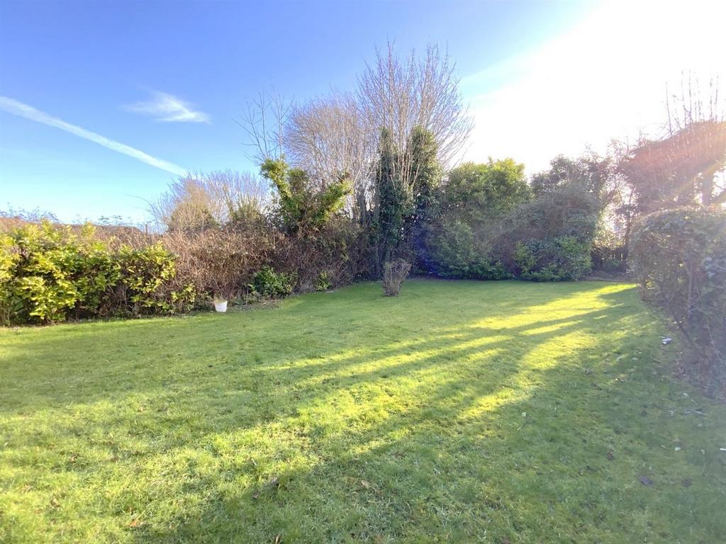 Resized IMG 0767.jpg