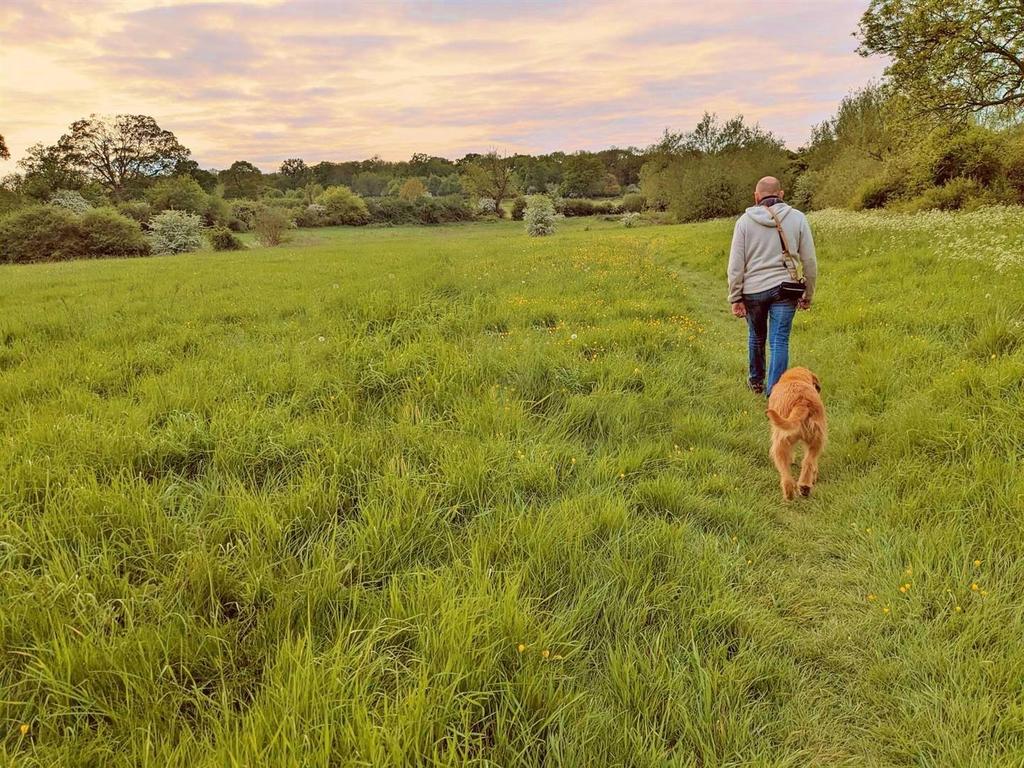 Country walk.jpg
