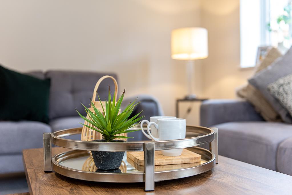 Image of show home