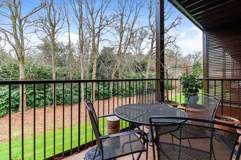 Balcony and View