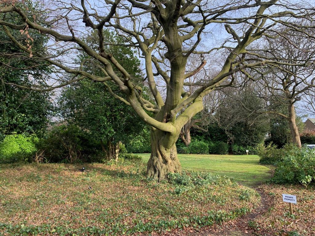 Gardens