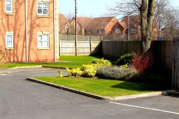 Car parking