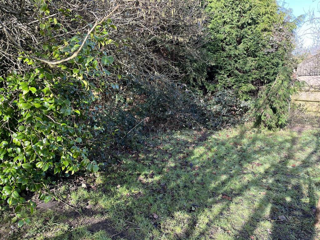 5 Garden.JPG