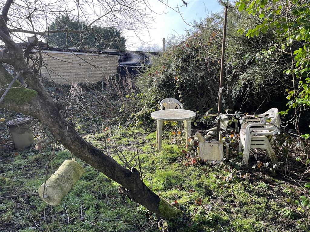 4 Garden.JPG