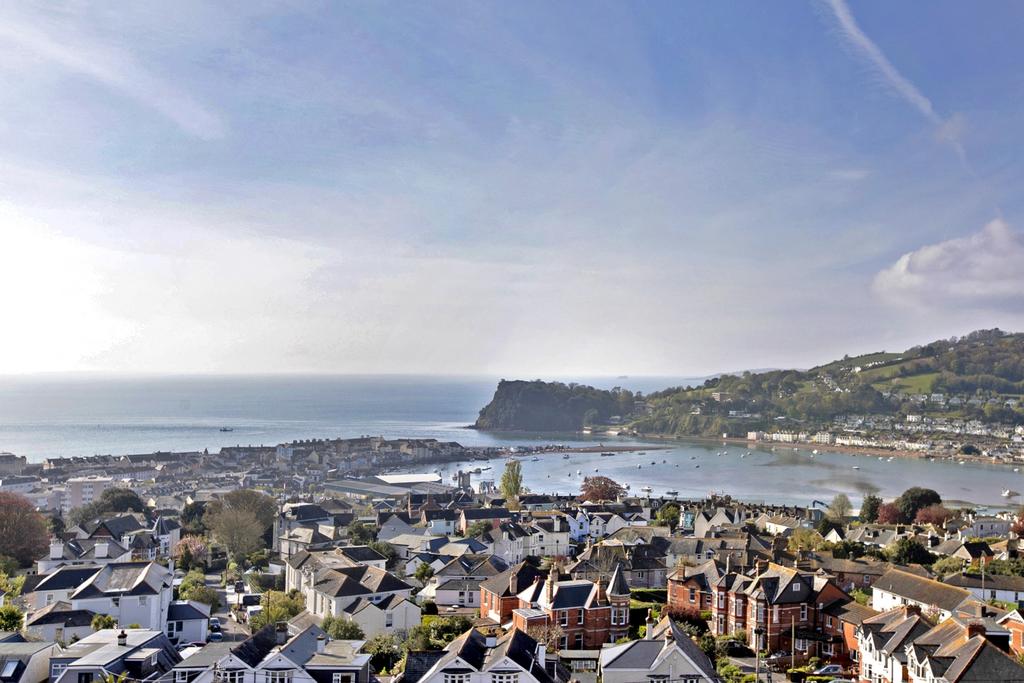 View from Tower - 4