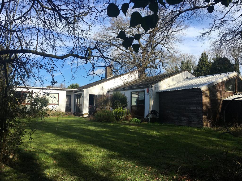 External