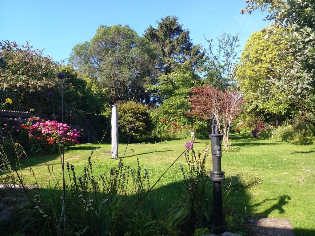 Summer Garden