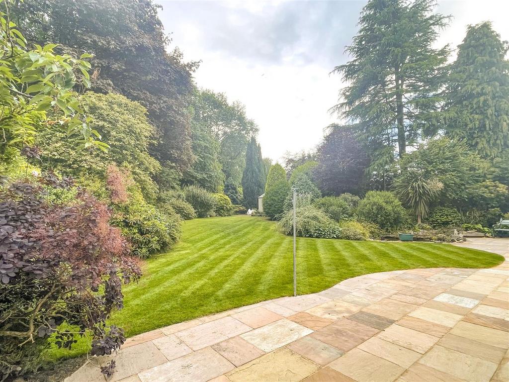 Garden in Summer