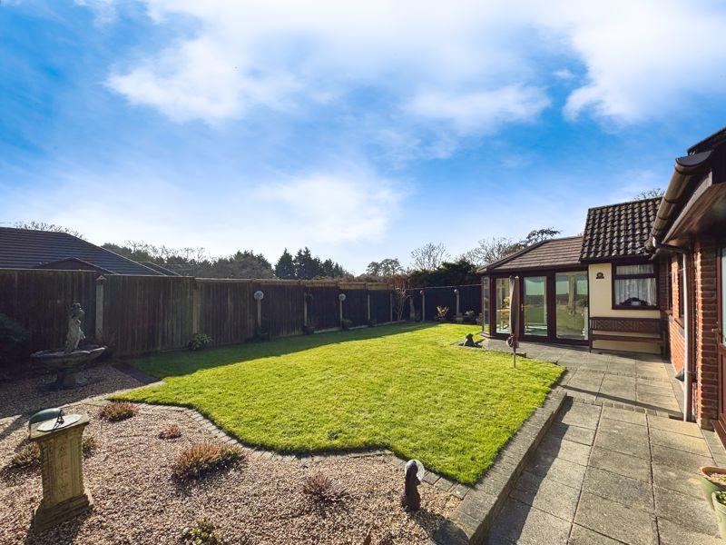 Conifer close
