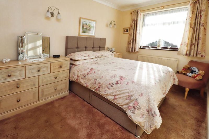 Conifer close