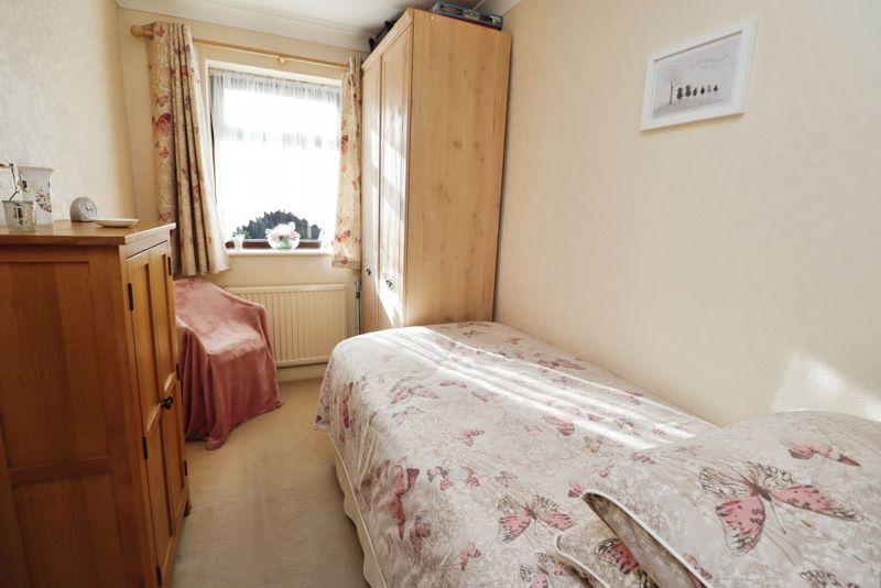 Conifer close