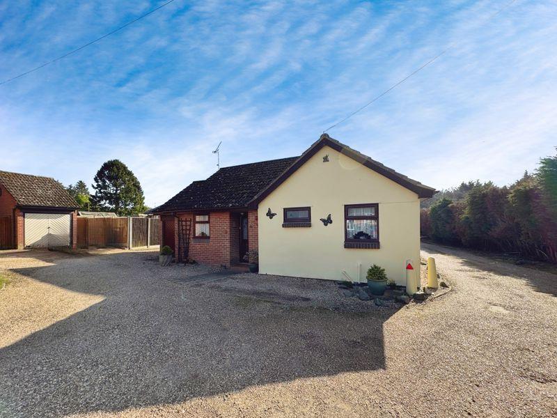 Conifer close