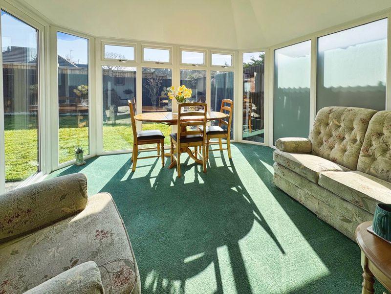 Conifer close