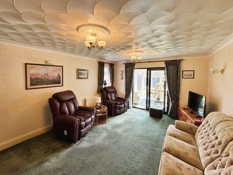 Conifer close