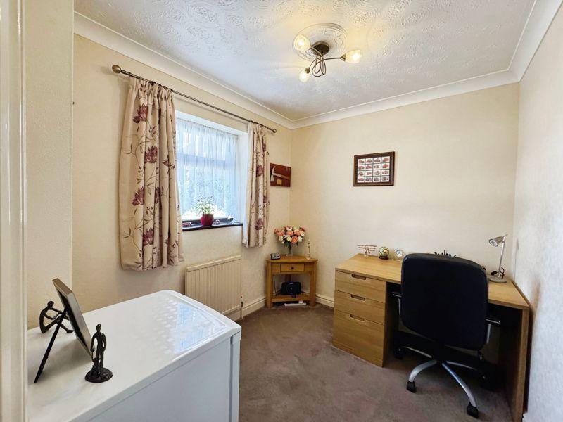 Conifer close