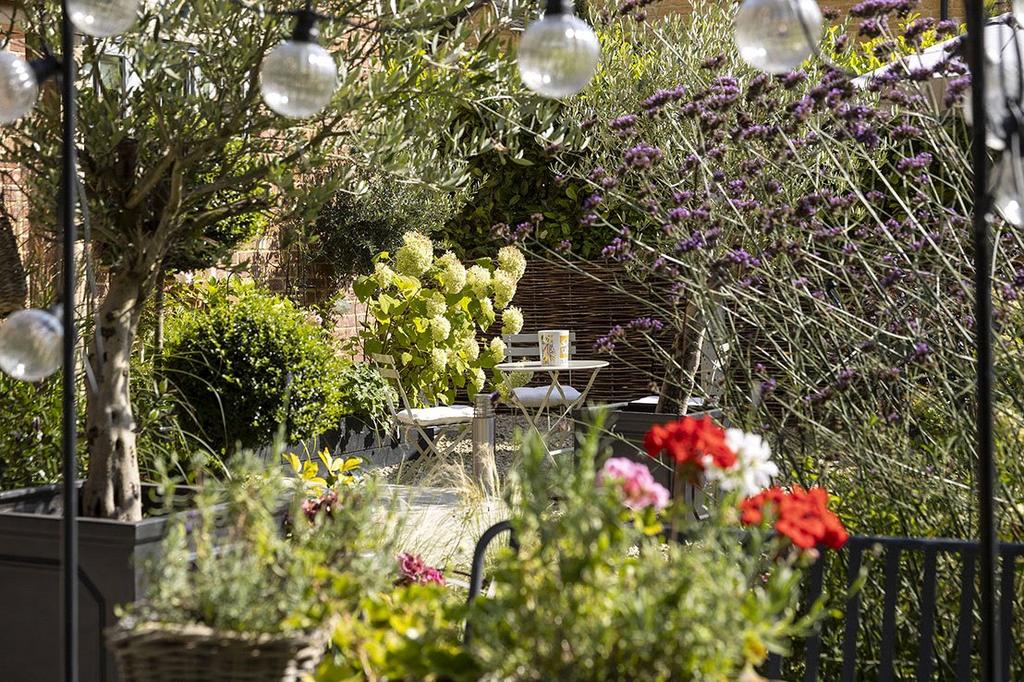 Garden