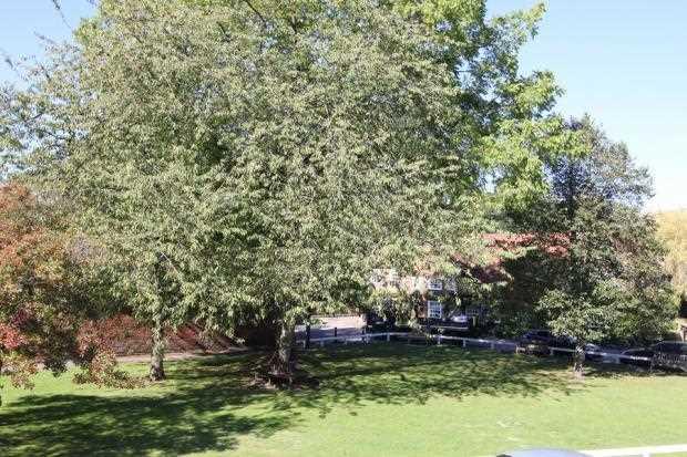 Village Green