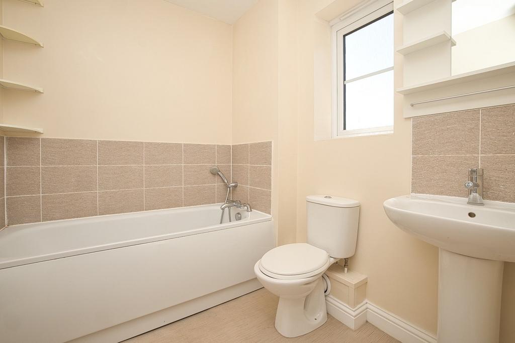 Picture 11