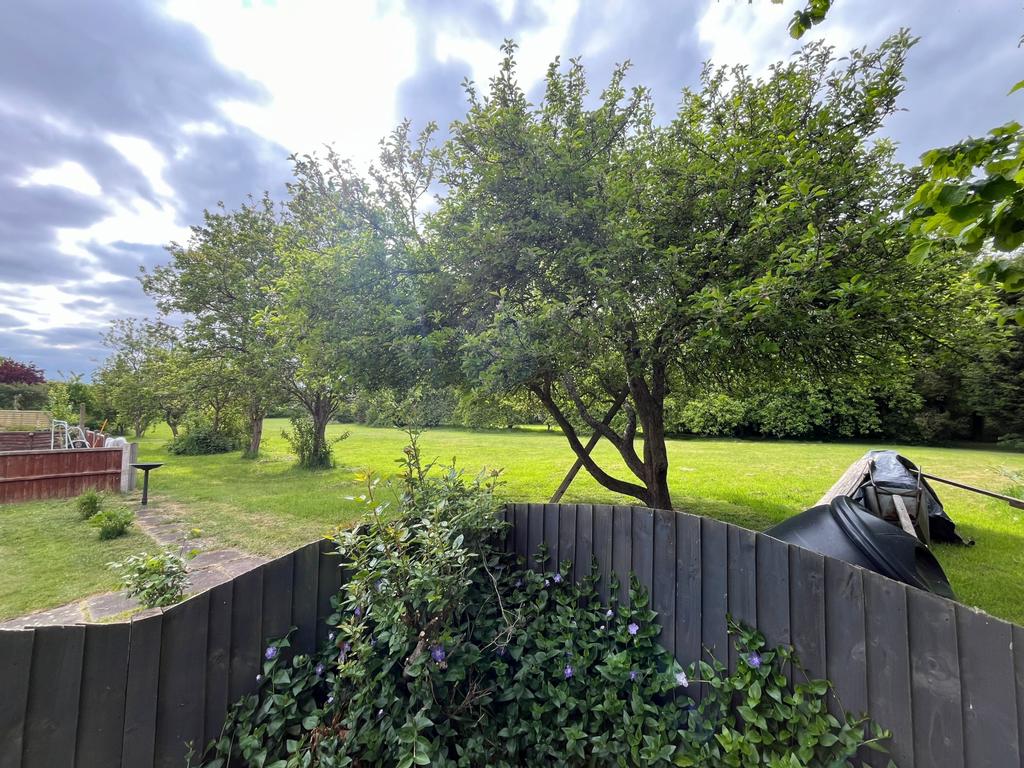 Orchard