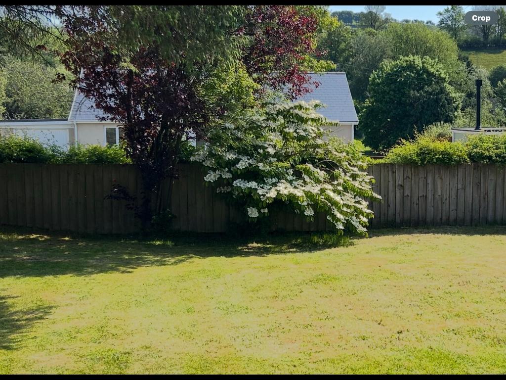 Front garden (second image)