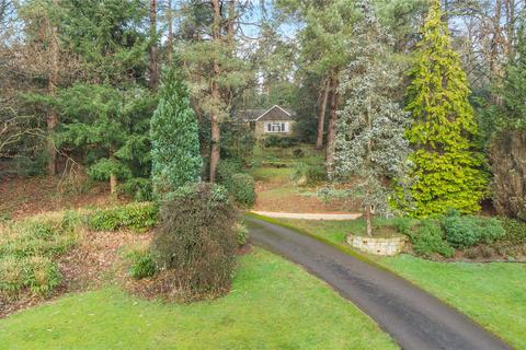 3 bedroom bungalow for sale, Dene Lane, Lower Bourne, Farnham, Surrey