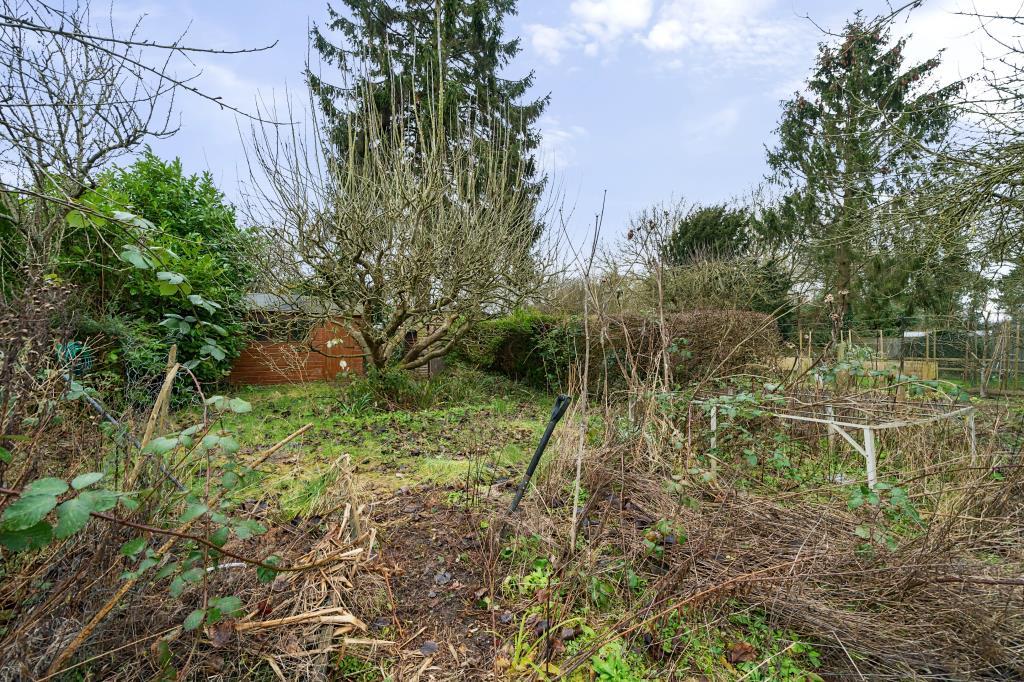 External