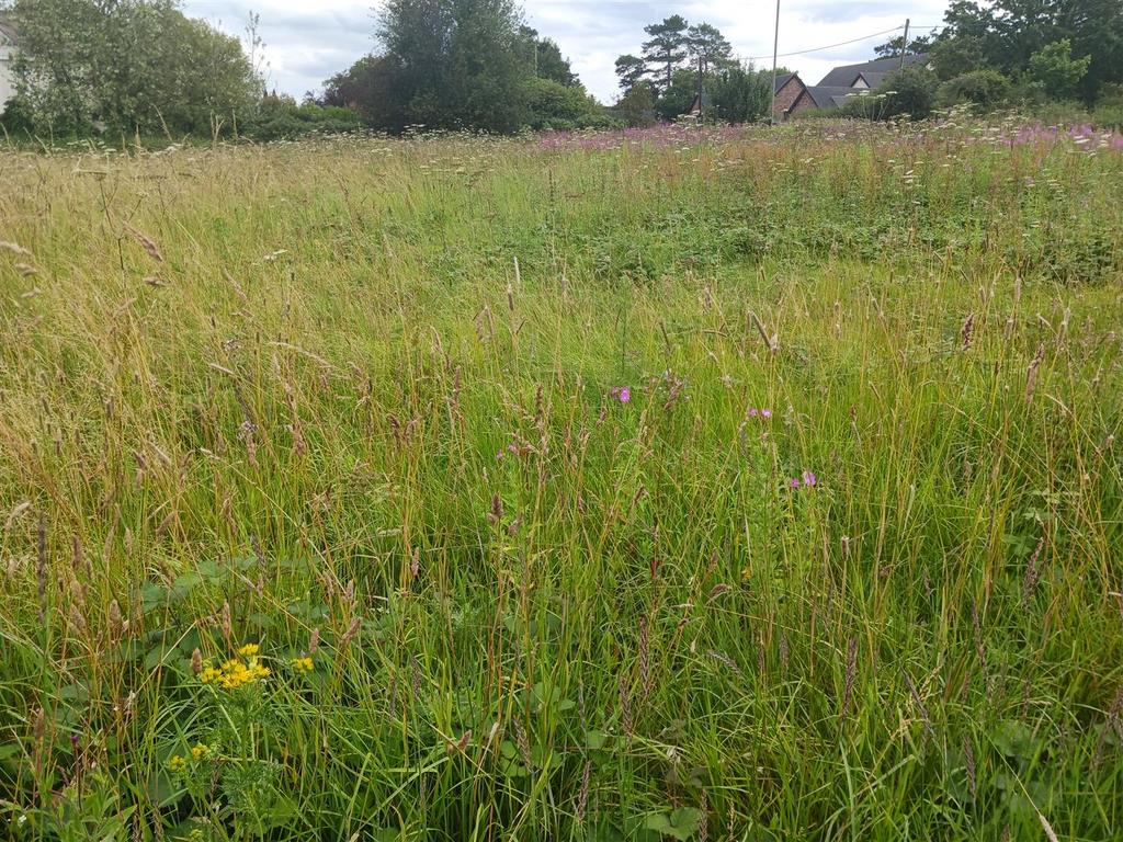 Land at Woore, Crewe - View 4
