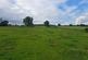 Land At Mossend, West Calder, EH55 photo 3