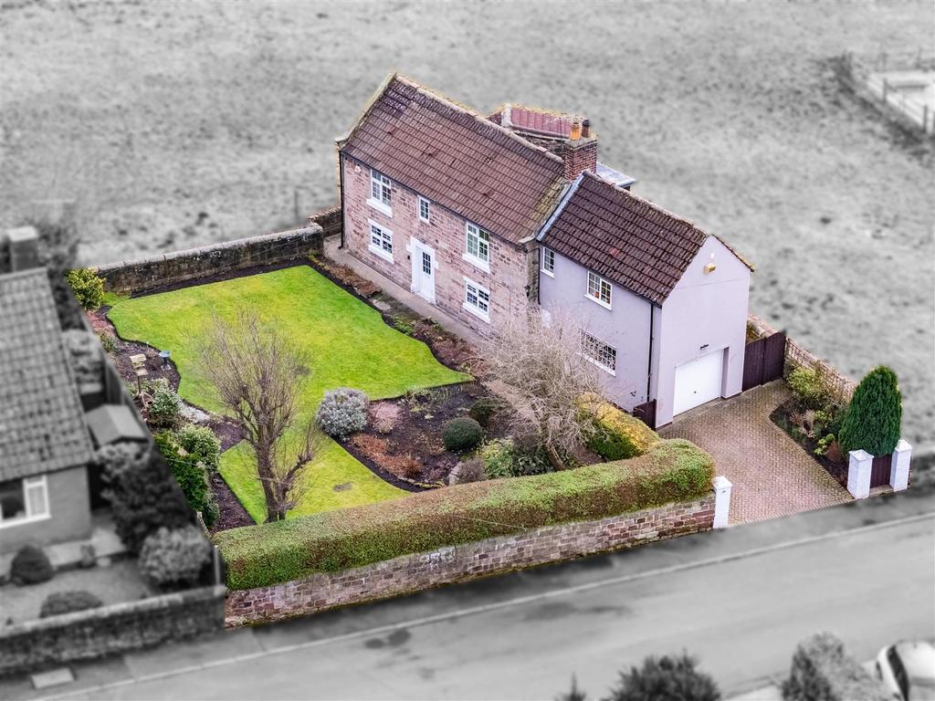 DJI 20250206145346 0065 D-Edit.jpg