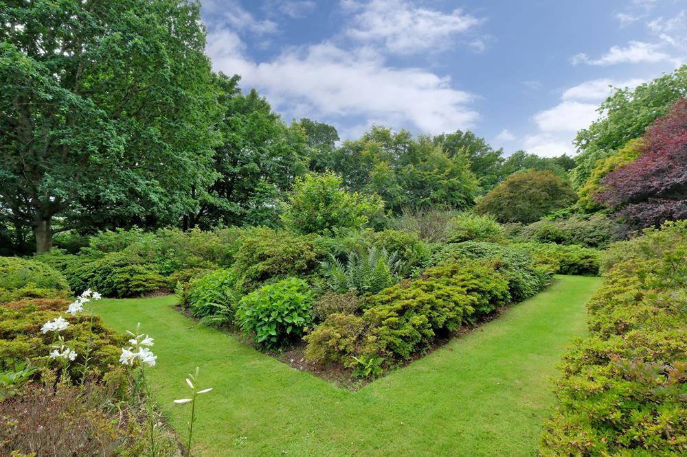 Garden 2