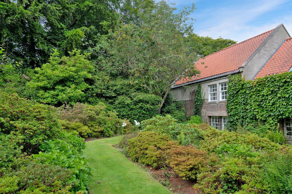 Garden 3