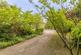 Additional image 3 of Hollow Lane, Blackboys