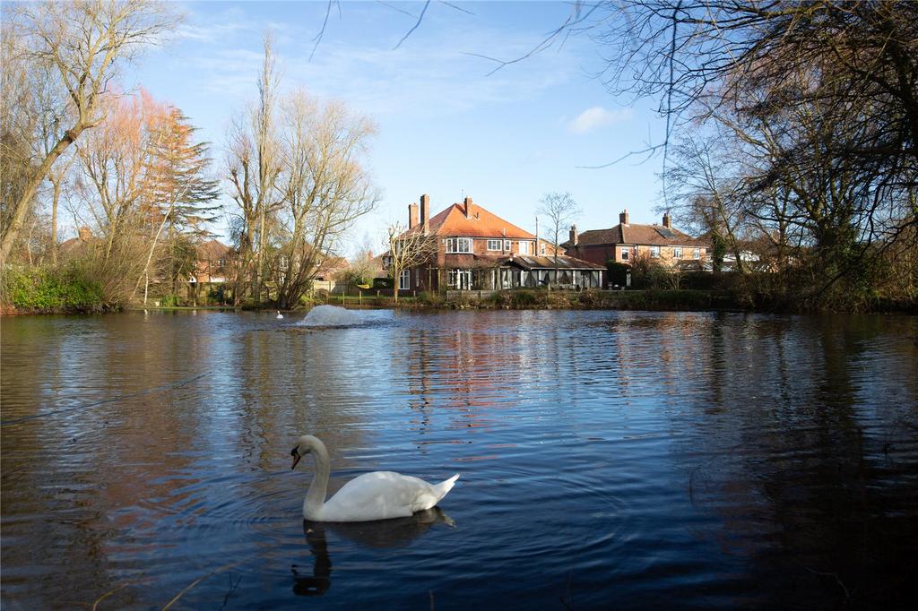 Lake View
