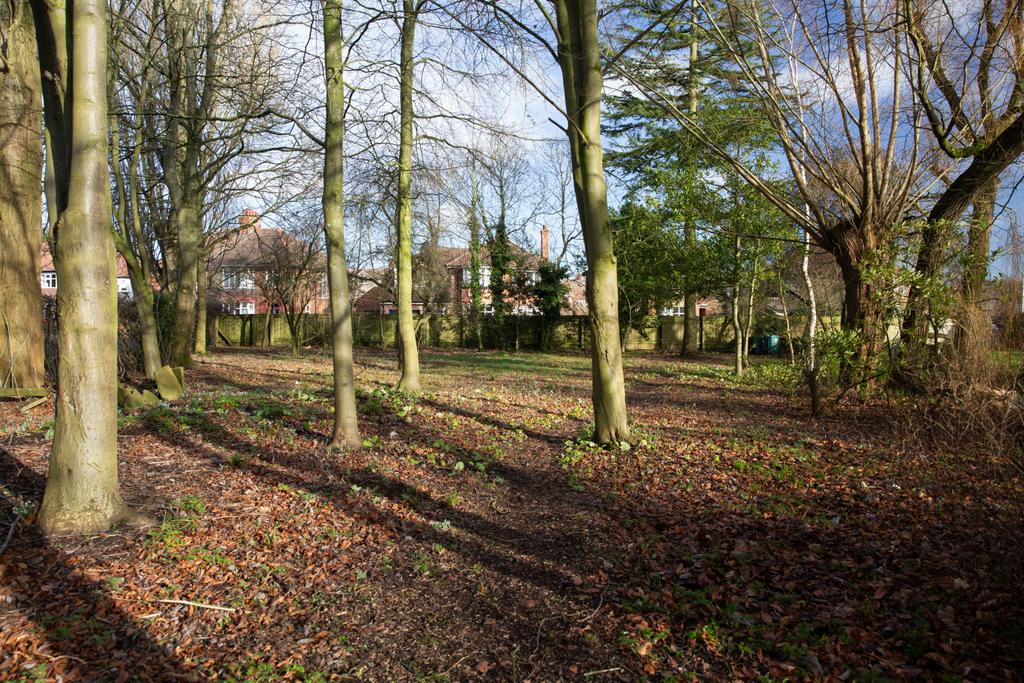 Woodland Area