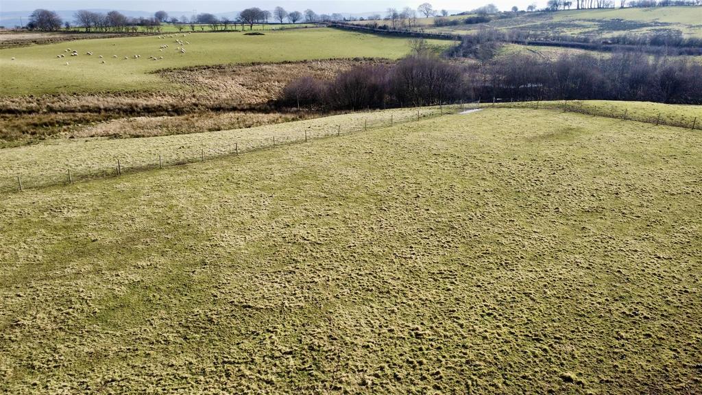 Dji fly 20250213 122650 162 1739454111304 photo op