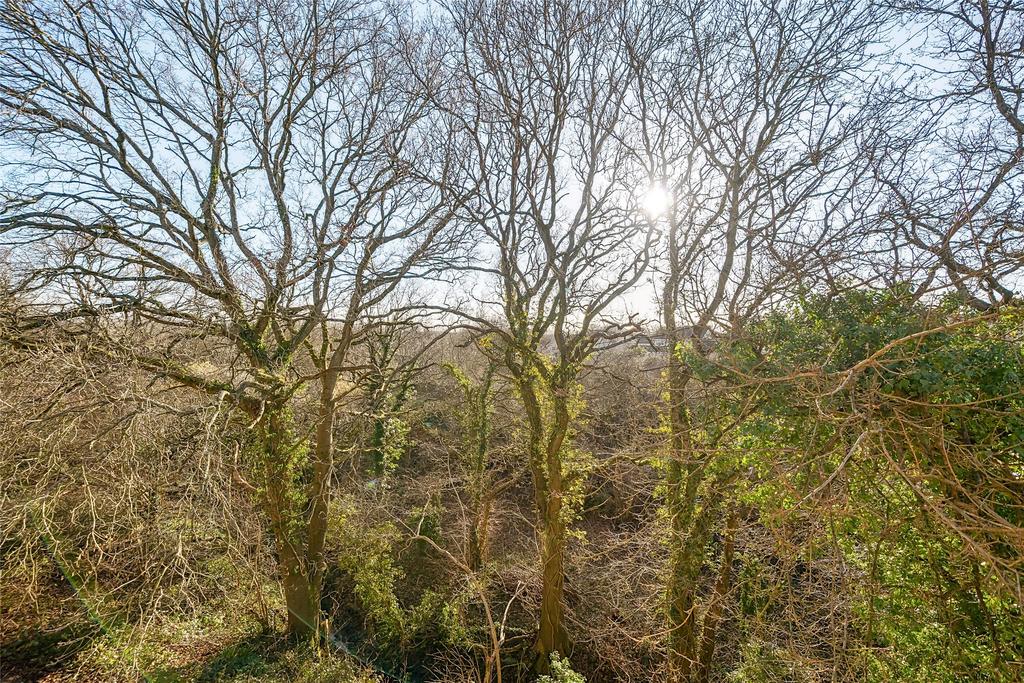Nature Reserve