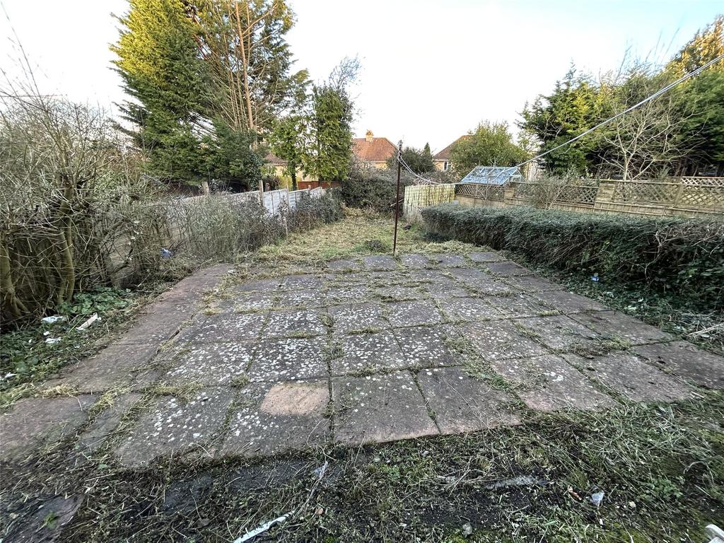 Back Garden